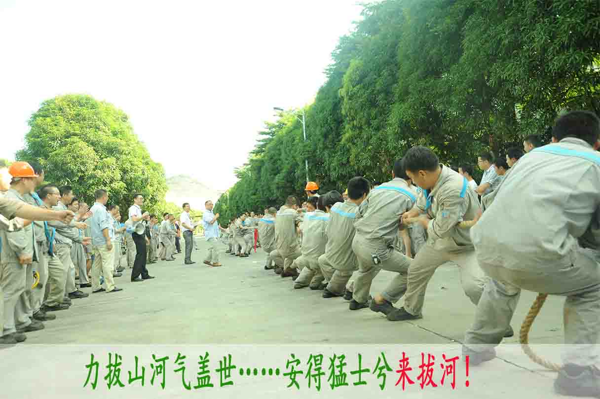 2024新澳门2024原料网
