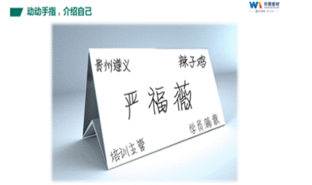 2024新澳门2024原料网
