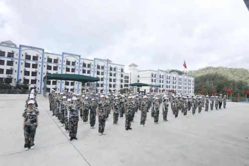 2024新澳门2024原料网